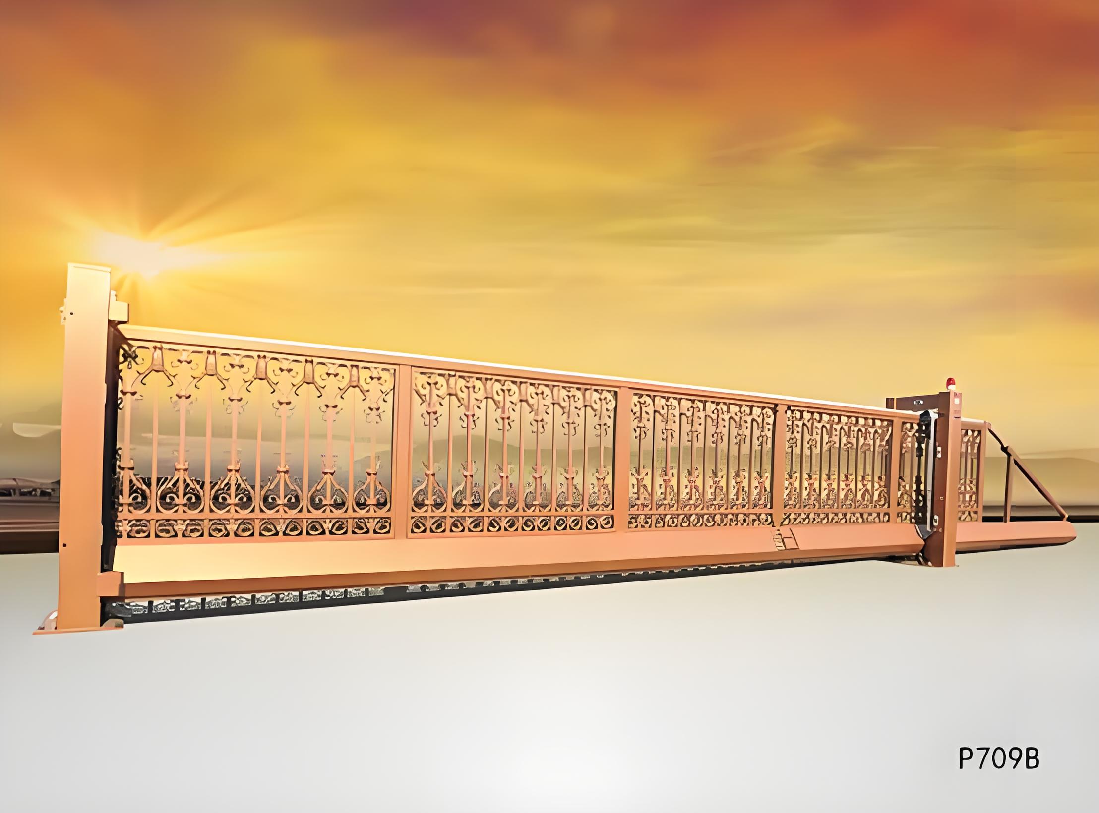 秦皇岛悬浮门P709