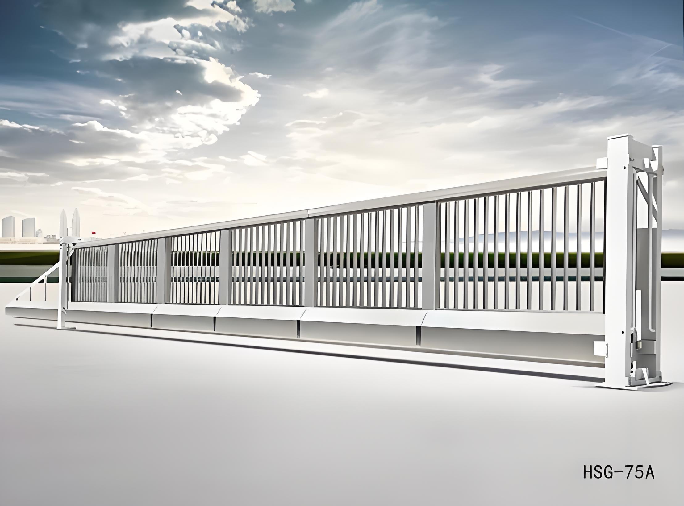 秦皇岛悬浮门HSG-