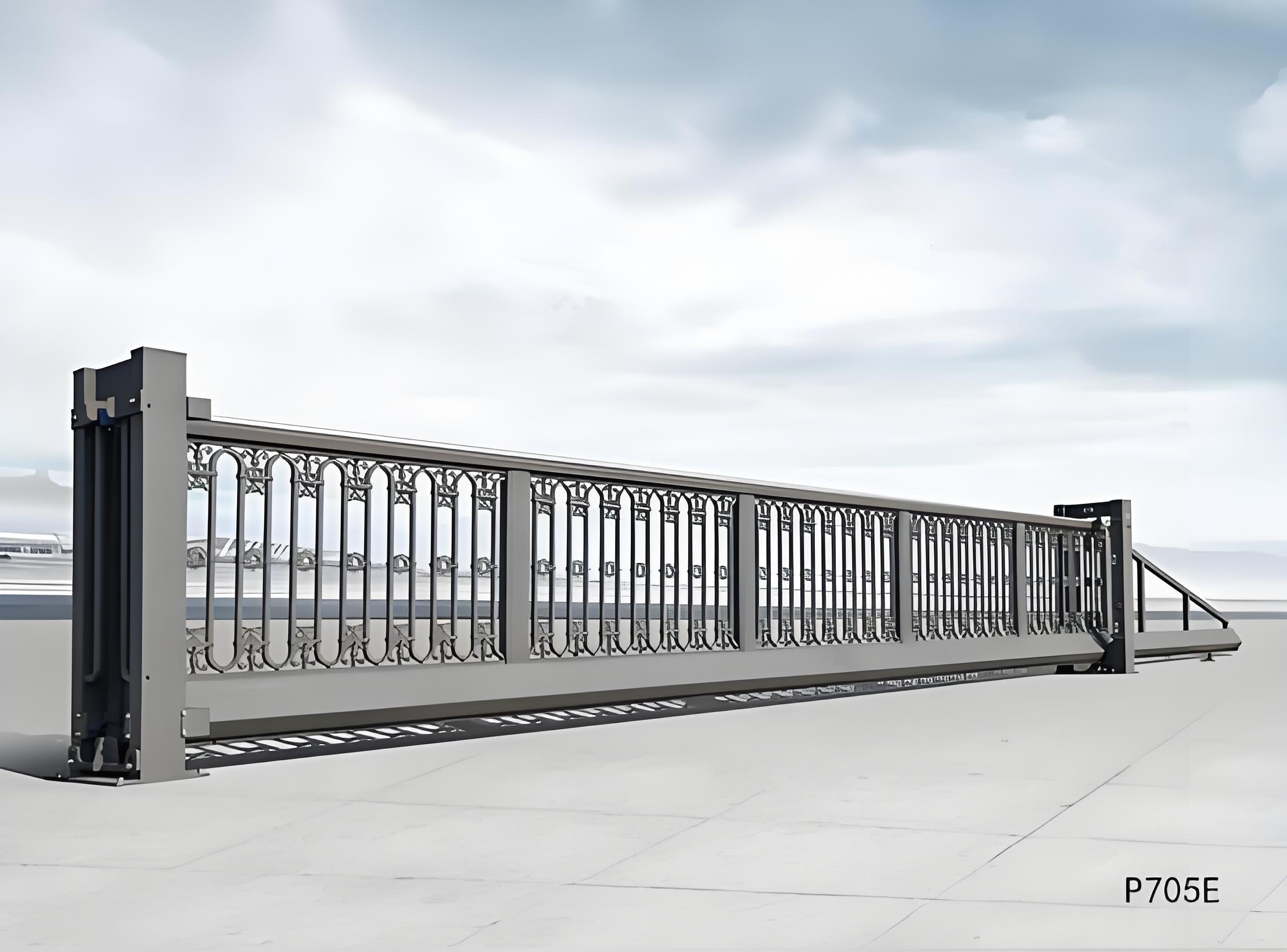 秦皇岛悬浮门P705